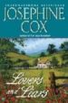 LOVERS AND LIARS de COX, JOSEPHINE 