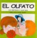 EL OLFATO: LOS SENTIDOS Y ALGO MAS di VV.AA. 
