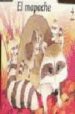 EL MAPACHE (LIBRO PUZZLE) de MANTEGAZZA, GIOVANNA  MICHELINI, CARLOS ALBERTO 