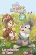 TAMBOR Y SU FAMILIA: LAS ESTACIONES DE TAMBOR (LIBRO DE COLOREAR CON PEGATINAS) di VV.AA. 