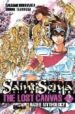 SAINT SEIYA: THE LOST CANVAS HADES MYTHOL N 2 de KURUMADA, MASAKI  TESHIROGI, SHIORI 