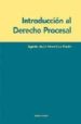 INTRODUCCION AL DERECHO PROCESAL de PEREZ-CRUZ MARTIN, AGUSTIN JESUS 