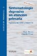 SINTOMATOLOGIA DEPRESIVA EN ATENCION PRIMARIA: ALGORITMOS DIAGNOS TICOS Y TERAPEUTICOS de ALVAREZ, ENRIQUE  GASTO FERRE, CRISTOBAL 