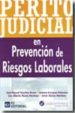 PERITO JUDICIAL EN PREVENCION DE RIESGOS LABORALES di VV.AA. 