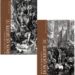 EL INGENIOSO HIDALGO DON QUIJOTE DE LA MANCHA (ESTUCHE DOS VOLS.) (EDICION ESPECIAL PARA EL IV CENTENARIO DE LA PRIMERA EDICION DE DON QUIJOTE DE LA MANCHA) de CERVANTES SAAVEDRA, MIGUEL DE 