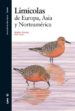 LIMICOLAS DE EUROPA, ASIA Y NORTEAMERICA di MESSAGE, STEPHEN  TAYLOR, DON 