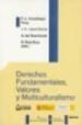 DERECHOS FUNDAMENTALES, VALORES Y MULTICULTURALISMO di VV.AA. 