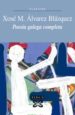 POESIA GALEGA COMPLETA X. M. ALVAREZ BLAZQUEZ di ALVAREZ BLAZQUEZ, XOSE MARIA 