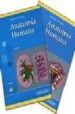 COLECCION LATARJET (CONTIENE LOS DOS TOMOS DE ANATOMIA HUMANA 4 ED DE LATARJET; Y TERMINOLOGIA ANATOMICA DE LA S.A.E.(SOCIEDAD ANATOMICA ESPAOLA) (EL SEGUNDO TOMO CON CD CORRESPONDIENTE) di LATARJET, MICHEL 