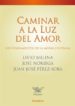 CAMINAR A LA LUZ DEL AMOR: LOS FUNDAMENTOS DE LA MORAL CRISTIANA di MELINA, LIVIO  NORIEGA, JOSE 