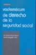 VADEMECUM DE DERECHO DE LA SEGURIDAD SOCIAL de PEREZ ALONSO, MARIA ANTONIA 