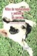 ATLAS DE NEONATOLOGIA Y PEDIATRIA EN CANINOS di SORRIBAS, CARLOS ENRIQUE 