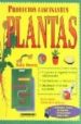 PLANTAS: PROYECTOS FASCINANTES di HEWITT, SALLY 