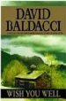 WISH YOU WELL de BALDACCI, DAVID 