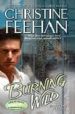BURNING WILD di FEEHAN, CHRISTINE 