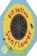 BIG YELLOW SUNFLOWER (SERIES: FOLD OUT AND FIND OUT) di BARRY, FRANCES 