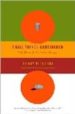 SMALL THINGS CONSIDERED: WHY THERE IS NO PERFECT DESIGN de PETROSKI, HENRY 