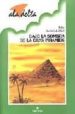 BAJO LA SOMBRA DE LA GRAN PIRAMIDE (A PARTIR DE 10 AOS) de ZAPATA LERGA, PABLO 