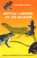 REPTILS I AMFIBIS DE LES BALEARS di MAYOL, JOAN 