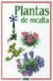 PLANTAS DE ROCALLA di VV.AA. 