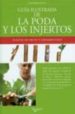 GUIA ILUSTRADA DE LA PODA Y DE LOS INJERTOS: PLANTAS DE FRUTO Y O RNAMENTALES de MAINARDI FAZIO, FAUSTA 