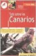 TODO SOBRE LOS CANARIOS de GISMONDI, ELISABETTA 