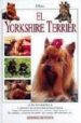 EL YORKSHIRE TERRIER di PESCE, P 
