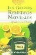 LOS GRANDES REMEDIOS NATURALES di ARA ROLDAN, ALFREDO 