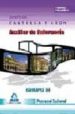 AUXILIAR DE ENFERMERIA GRUPO III. PERSONAL LABORAL DE LA JUNTA DE CASTILLA Y LEON. TEMARIO PARTE ESPECIFICA. VOLUMEN I di VV.AA. 