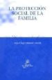 LA PROTECCION SOCIAL DE LA FAMILIA de ALMENDROS GONZALEZ, MIGUEL ANGEL 