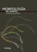 MORFOLOGIA DEL ESPAOL di OLLERO BAUELOS, ALFONSO 