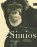 SIMIOS de JENKINS, MARTIN D. 