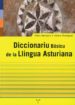 DICCIONARIO BASICO DE LA LLINGUA ASTURIANA de MANZANO, PABLO  RODRIGUEZ, URBANO 