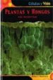 PLANTAS Y HONGOS: VIDA MULTICELULAR (CELULAS Y VIDA) de SNEDDEN, ROBERT 