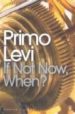 IF NOT NOW, WHEN? de LEVI, PRIMO 