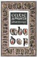 CELTIC ALPHABETS di MEEHAN, AIDAN 