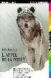L APPEL DE LA FORET de LONDON, JACK 