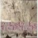 TREES: MAGNUM PHOTOS di VV.AA. 