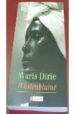 WUSTENBLUME de DIRIE, WARIS 