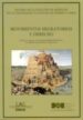 MOVIMENTOS MIGRATORIOS Y DERECHO de REMIRO BROTONS, ANTONIO 