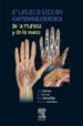 ATLAS DE DISECCION ANATOMOQUIRURGICA DE LA MUECA Y DE LA MANO di VV.AA. 