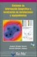 SISTEMAS DE INFORMACION GEOGRAFICA Y LOCALIZACION DE INSTALACIONE S Y EQUIPAMENTOS (INCLUYE CD) de BOSQUE SENDRA, JOAQUIN  MORENO JIMENEZ, ANTONIO 