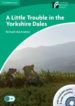 A LITTLE TROUBLE IN YORKSHIRE DALES (3 LOWER-INTERMEDIATE) (BOOK WITH CD-ROM AND AUDIO CD PACK) di VV.AA. 