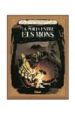 LES AVENTURES IMAGINARIES DEL JOVE VERNE:LA PORTA ENTRE ELS MONS de GARCIA, JORGE  RODRIGUEZ, PEDRO 