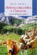 MONTES COMUNALES EN ASTURIAS Y OTRAS CUESTIONES AGRARIAS de ARANGO FERNANDEZ, JESUS 