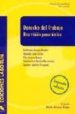DERECHO DEL TRABAJO: UNA VISION PANORAMICA (2 ED.) di VV.AA. 