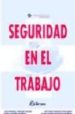 SEGURIDAD EN EL TRABAJO di VV.AA. 