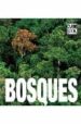 BOSQUES (CUBE BOOK) di MANFERTO DE FABIANIS, VALERIA 