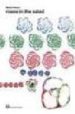 W4: ROSES IN THE SALAD di MUNARI, BRUNO 