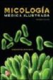 MICOLOGIA MEDICA de ARENAS, ROBERTO 